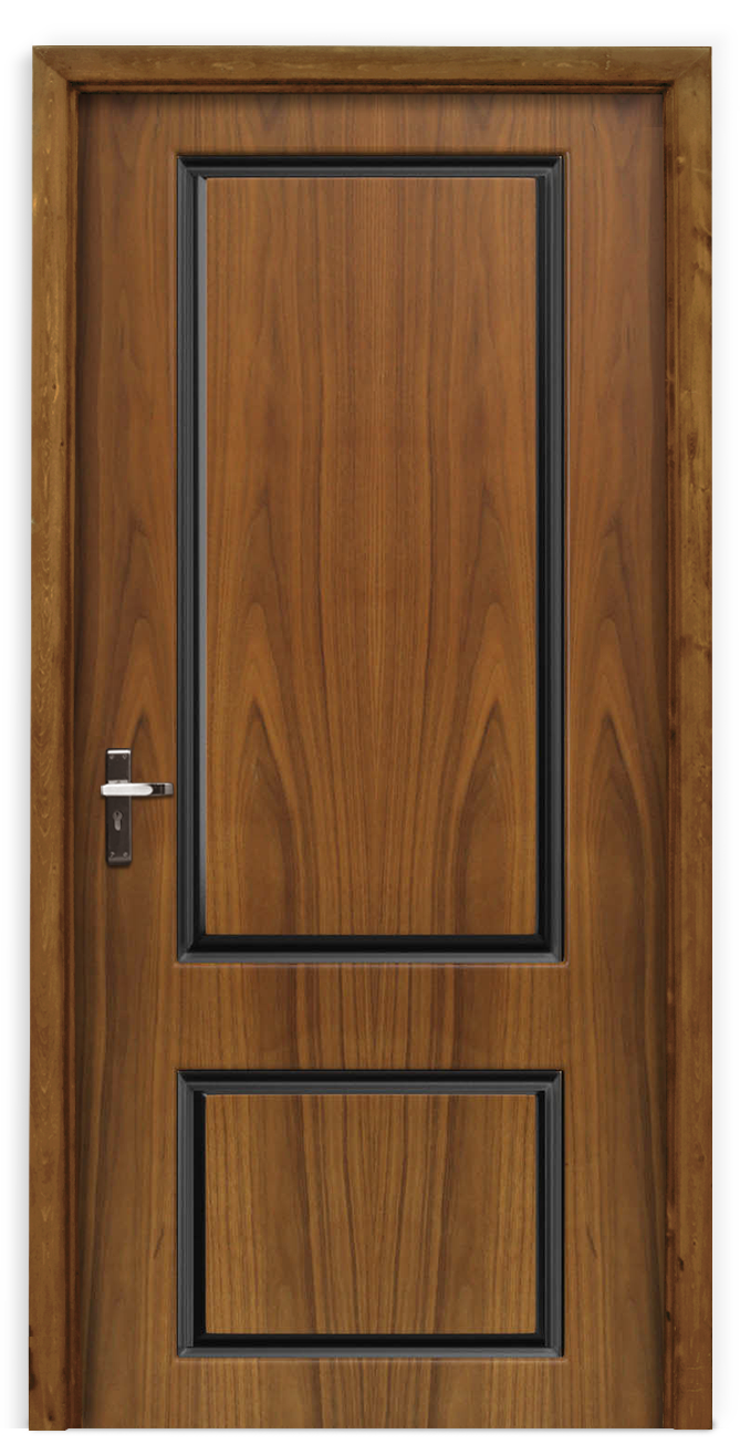 Designs of doors for homes